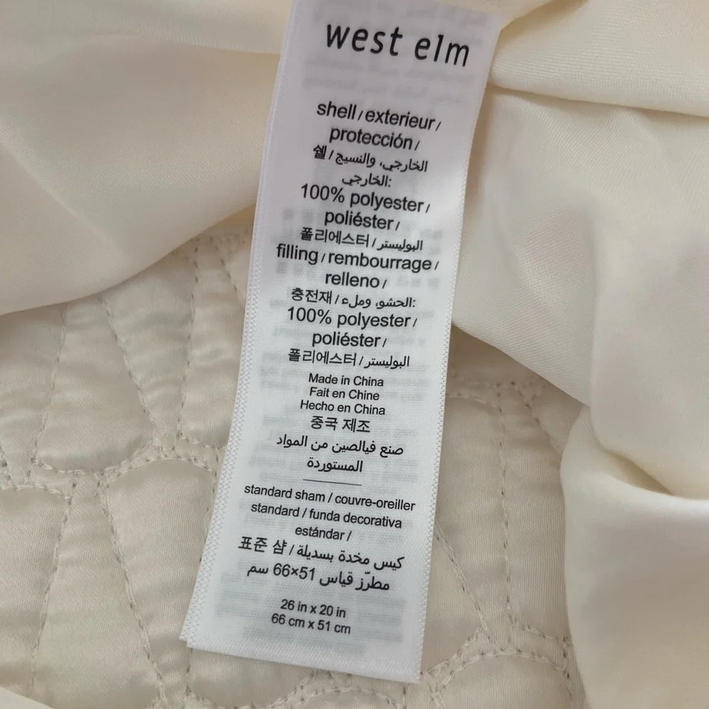 (1) West Elm pillow sham